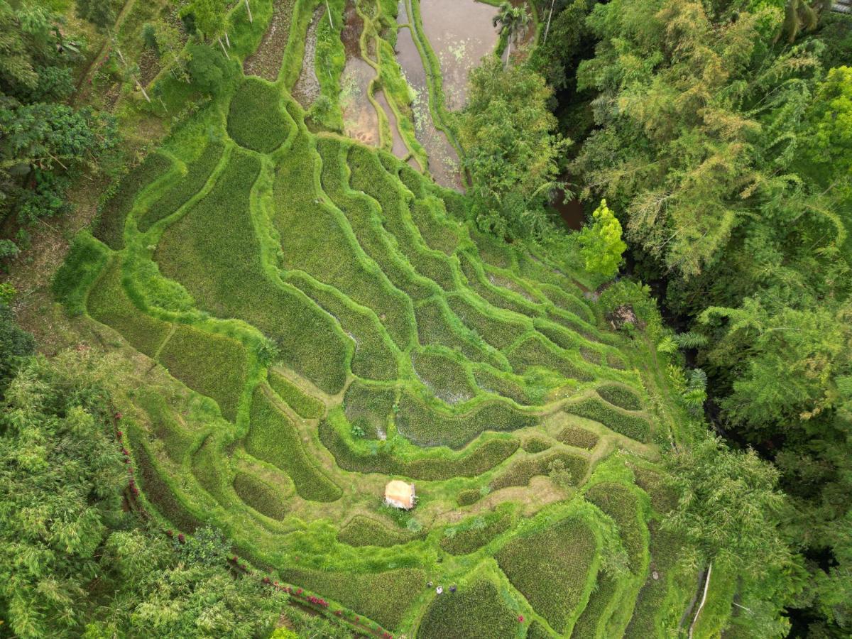 Green Haven Homestay เตเตบาตู ภายนอก รูปภาพ