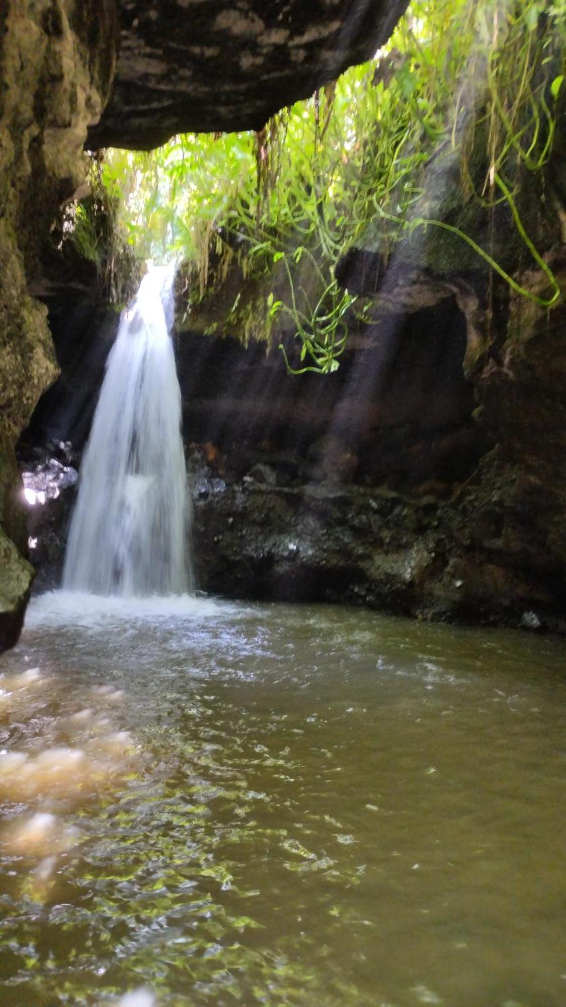Green Haven Homestay เตเตบาตู ห้อง รูปภาพ